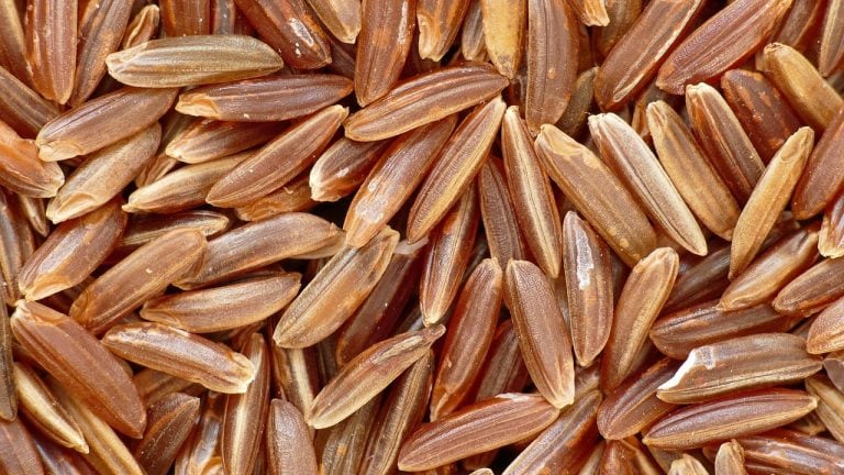 riz camargue
